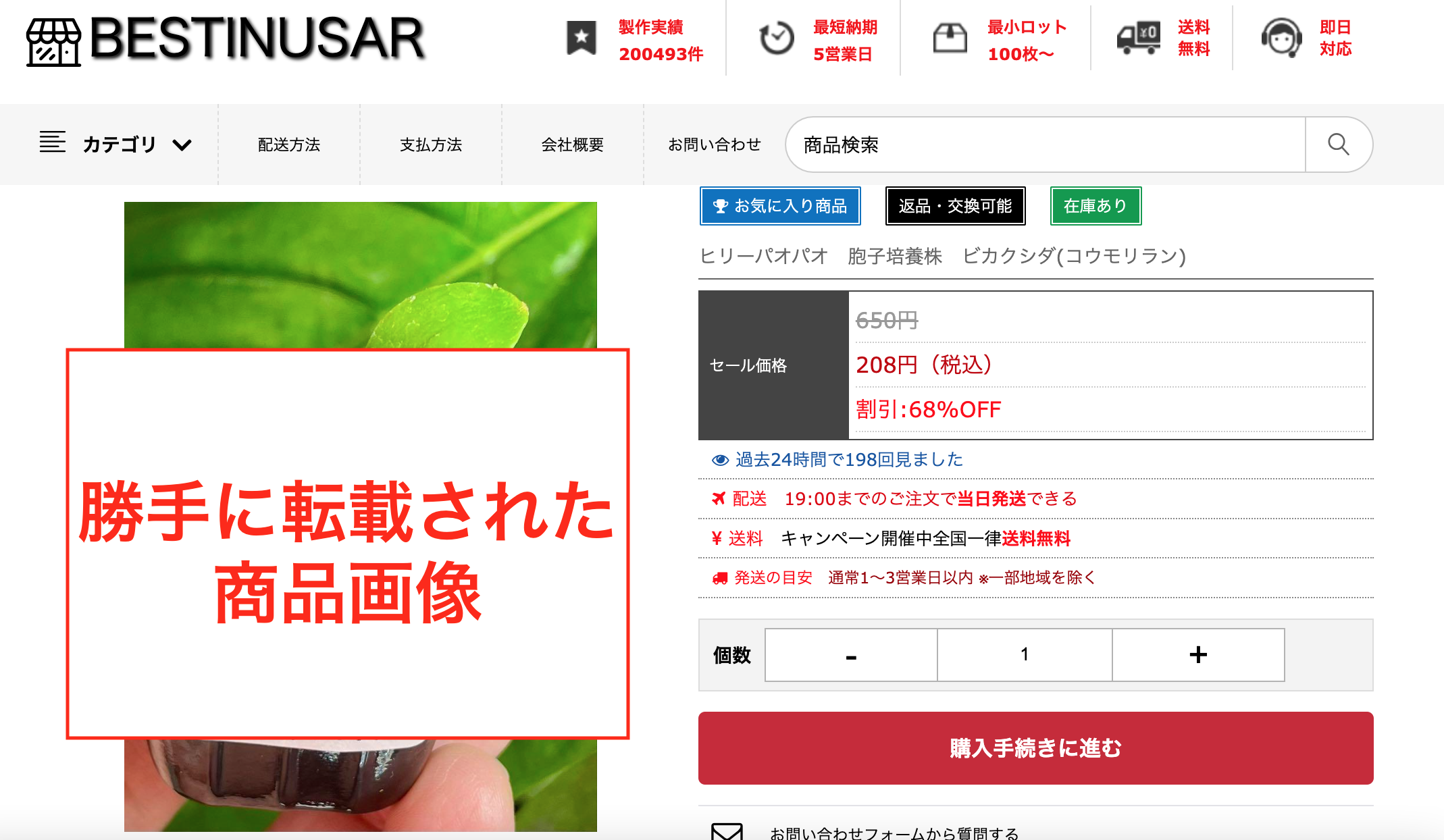 なのはページ　他の方は購入しないで下さい ビカクシダを格安で売ってる風な悪質な詐欺サイトにご注意ください